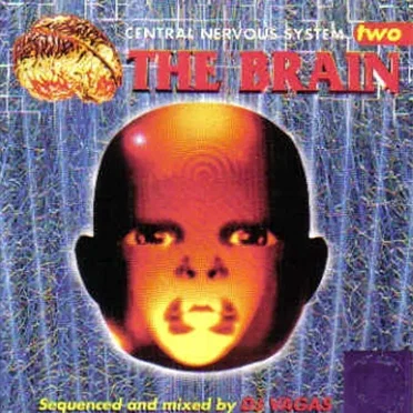 Central Nervous System Two: The Brain