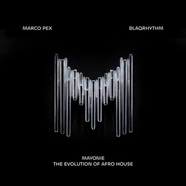 Evolution of Afro House by Mayonie - album cover