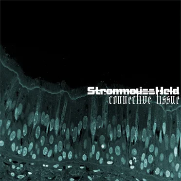 StrommoussHeld