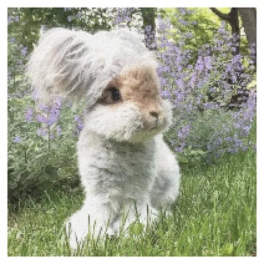ears to the ground