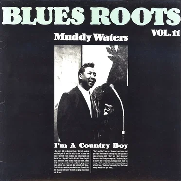 Blues Roots, Volume 11: I'm a Country Boy