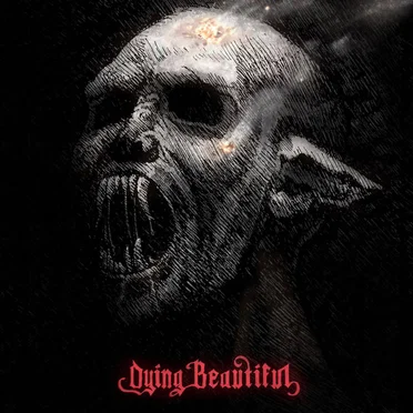 Dying Beautiful by Heeter - album cover