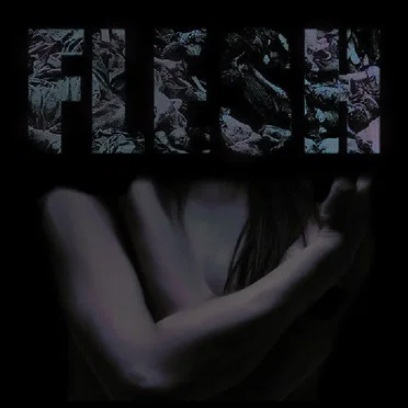 V I H by Flesh - album cover