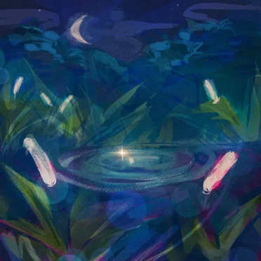 Ripples