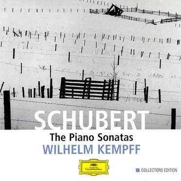 The Piano Sonatas