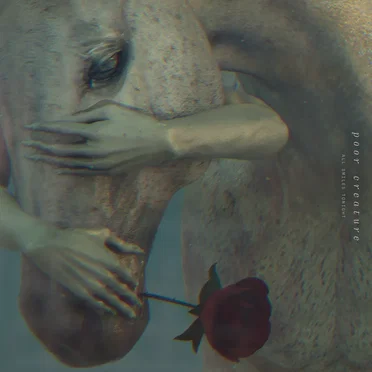 All Smiles Tonight by Poor Creature - album cover