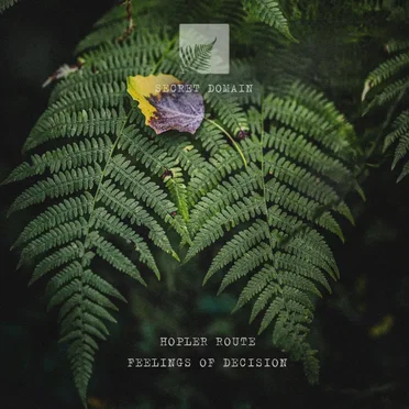 Feelings of Decision