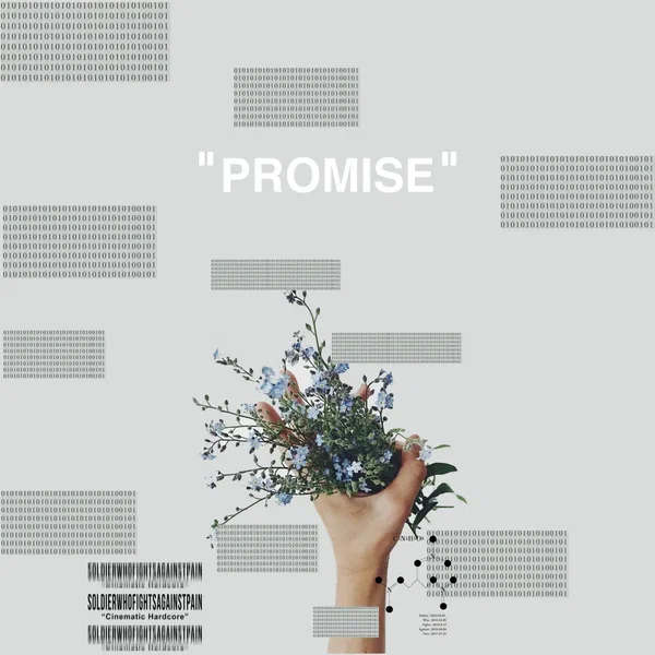 PROMISE