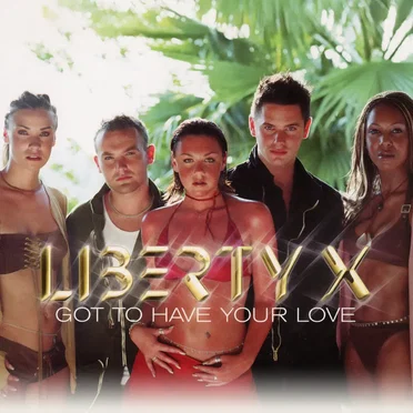 Got to Have Your Love