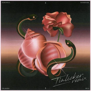 Strangers (Tinlicker remix)