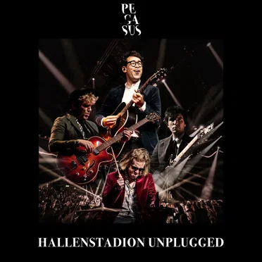Hallenstadion Unplugged (live)