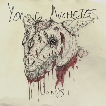 Lambs