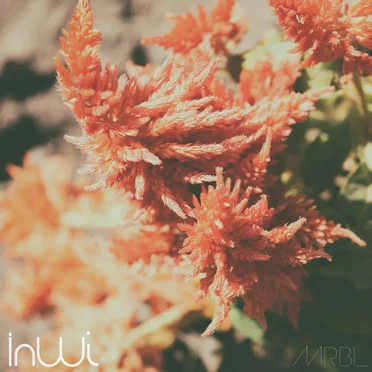 InWi by Maribel Tafur - album cover