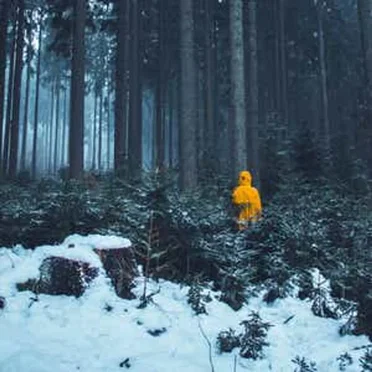 Beautiful Melancholy