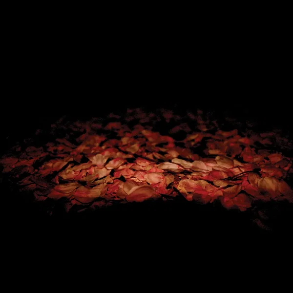 Unstable Equilibrium