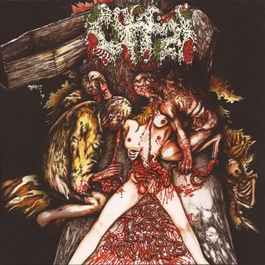 Anatomia / Offal