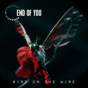 Bird on the Wire by End of You - album cover