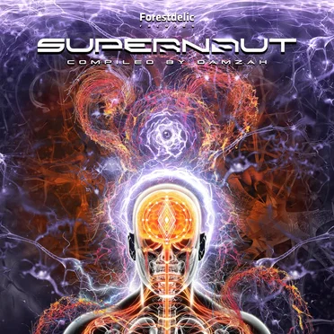 Supernaut by Various Artists - album cover