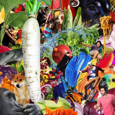 The Radiant Radish by Jetski - album cover