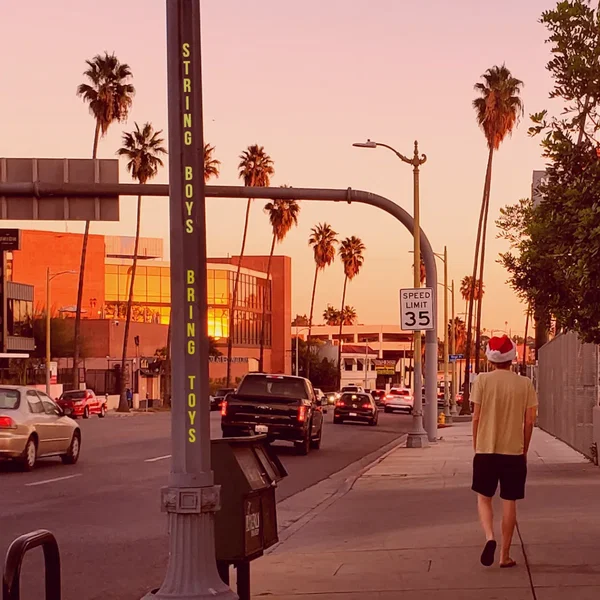 String Boys Bring Toys