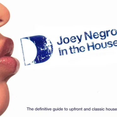 Joey Negro in the House
