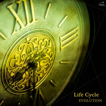 Life Cycle - Evolution