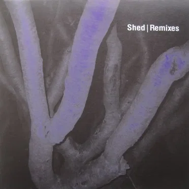 Remixes