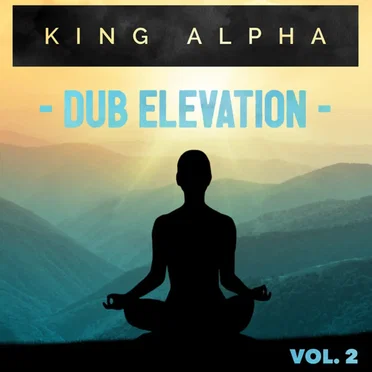 Dub Elevation Vol. 2