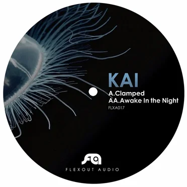 Clamped / Awake in the Night by KAI - album cover