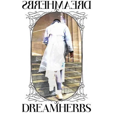 DREAMHERBS