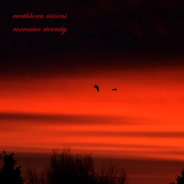 Corrosive Eternity by Earthborn Visions - album cover