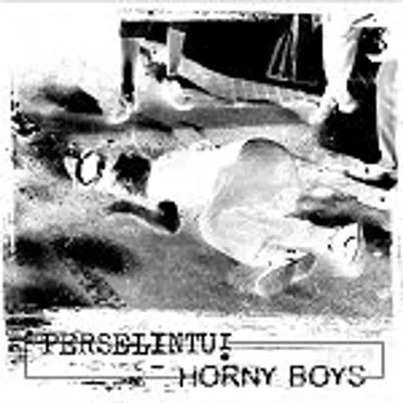 Perselintu! / Horny Boys by Various Artists - album cover