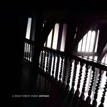 Antique by A Dead Forest Index - album cover