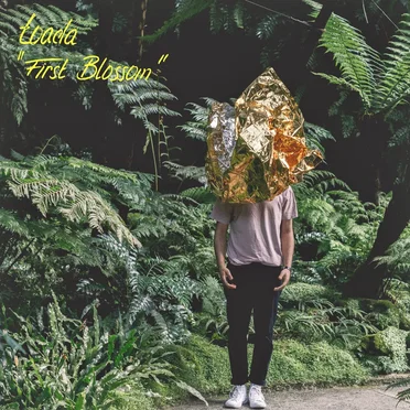 First Blossom by Toada - album cover