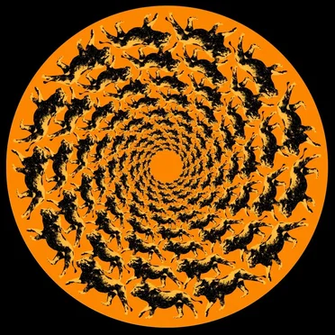 Healing Of The Nation