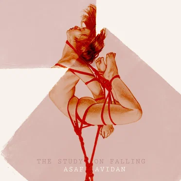 The Study on Falling