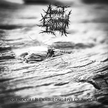 Grindcore Is Dead...Long Live Grindcore by Aberrant Extermination Impulsion - album cover