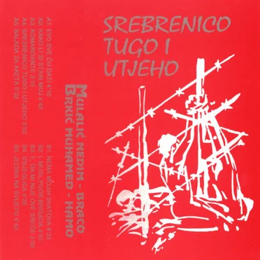 Srebrenico, tugo i utjeho