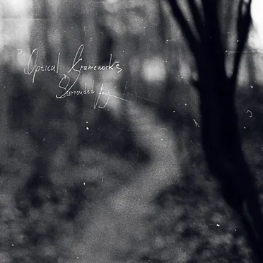 Surrounded Fog by Optical Frameworks - album cover
