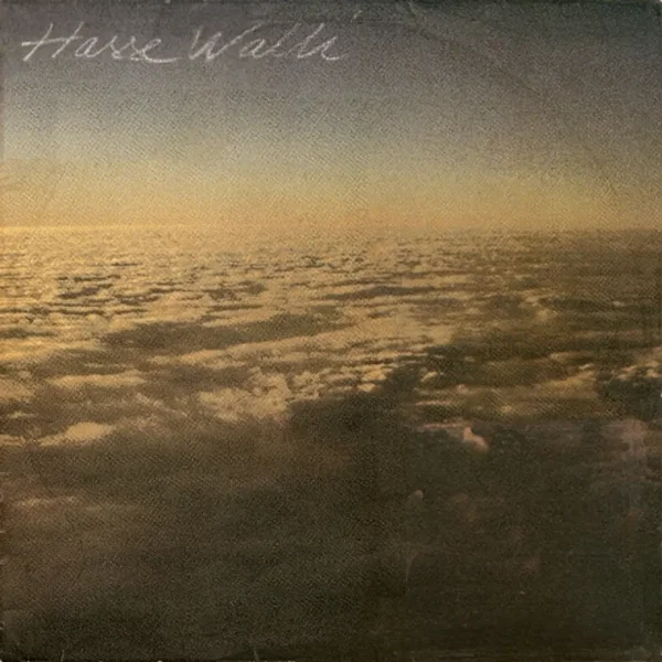 Hasse Walli
