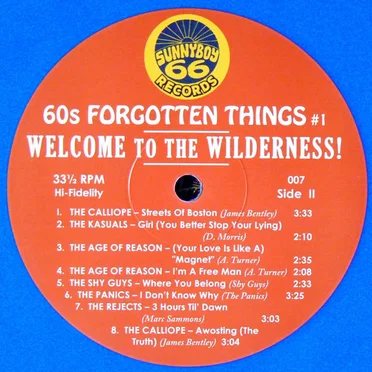60's Forgotten Things Vol. 1 - Welcome To The Wilderness! by Various Artists - album cover