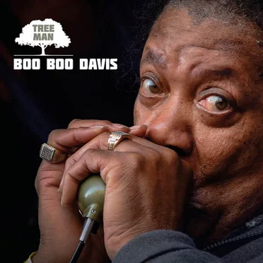 Tree Man by Boo Boo Davis - album cover
