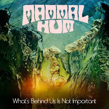 What's Behind Us Is Not Important