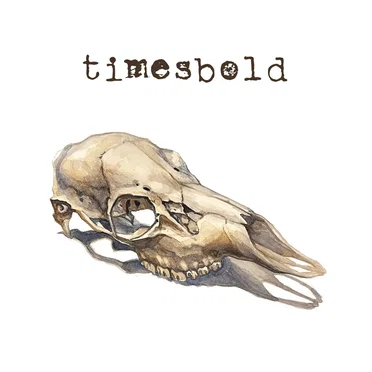 Not Still Here by Timesbold - album cover