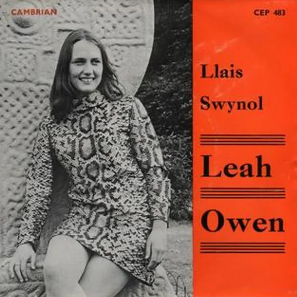 Llais Swynol