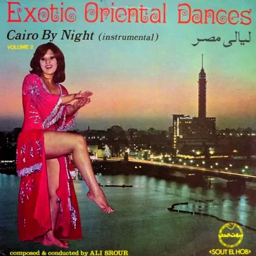 ليالي مصر (Cairo by Night (Instrumental) Volume 2)