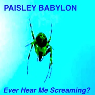 Ever Hear Me Screaming? by Paisley Babylon - album cover