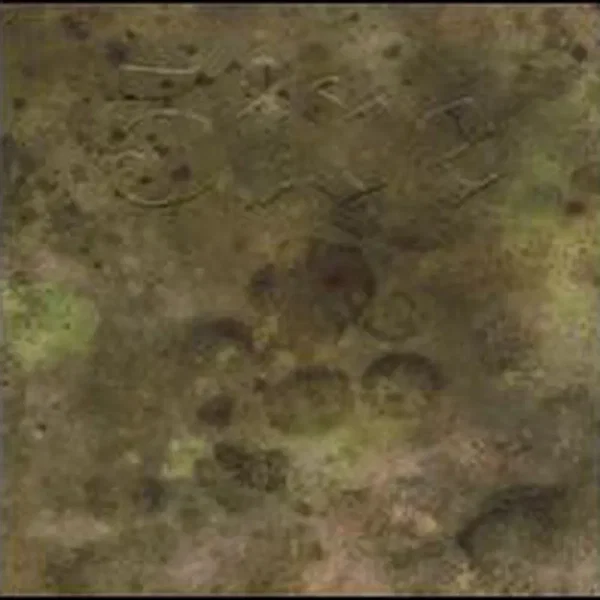 5ive