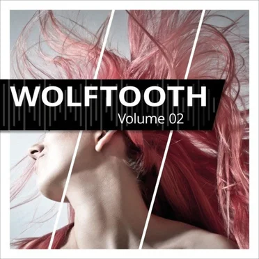 Volume 02 by Wolftooth - album cover