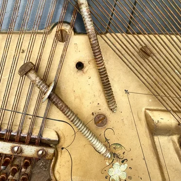 More strings and grasshoppers